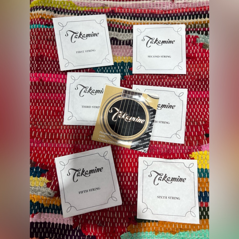 Takamine 180XL Acoustic Guitar Strings Phosphor Bronze Extra Light (Partial Set)